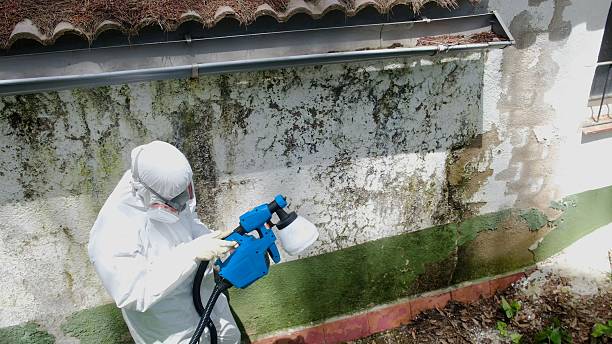 Top rated local Bathroom Mold Removal specialists in Middletown, MD